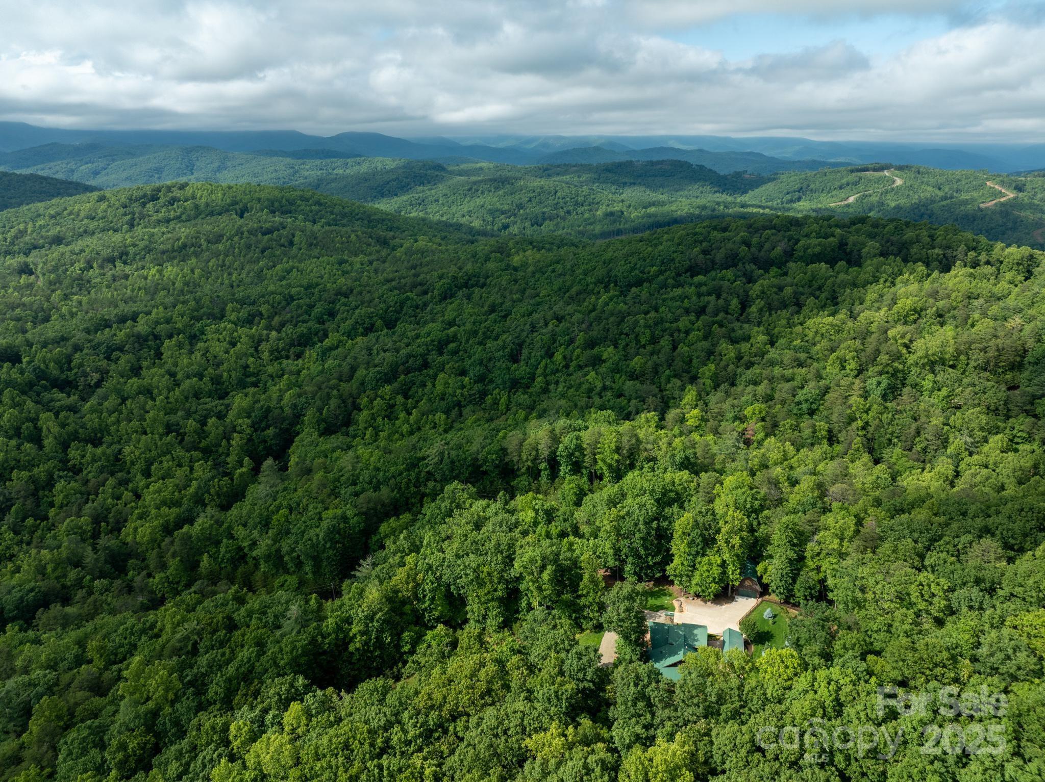 0 Wheel Team Trail, Unit 44 McGrady, NC 28649 - Photo 26 of 48 a view of a big yard with plants and large trees