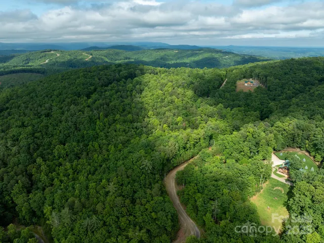 a view of a garden with plants and large trees