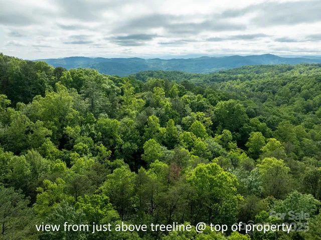 a view of a green field