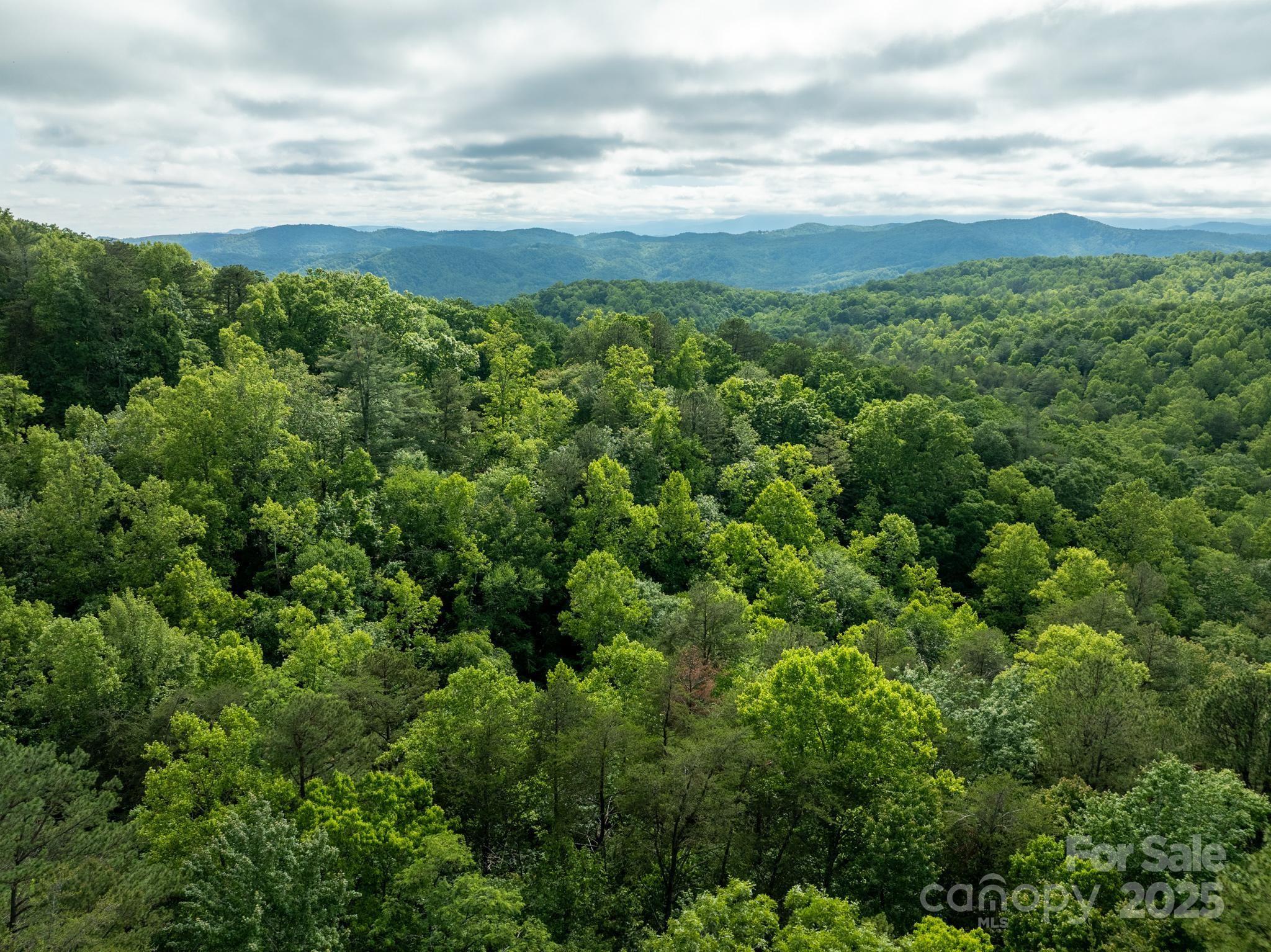 0 Wheel Team Trail, Unit 44 McGrady, NC 28649 - Photo 29 of 48 an aerial view of residential houses with outdoor space and trees
