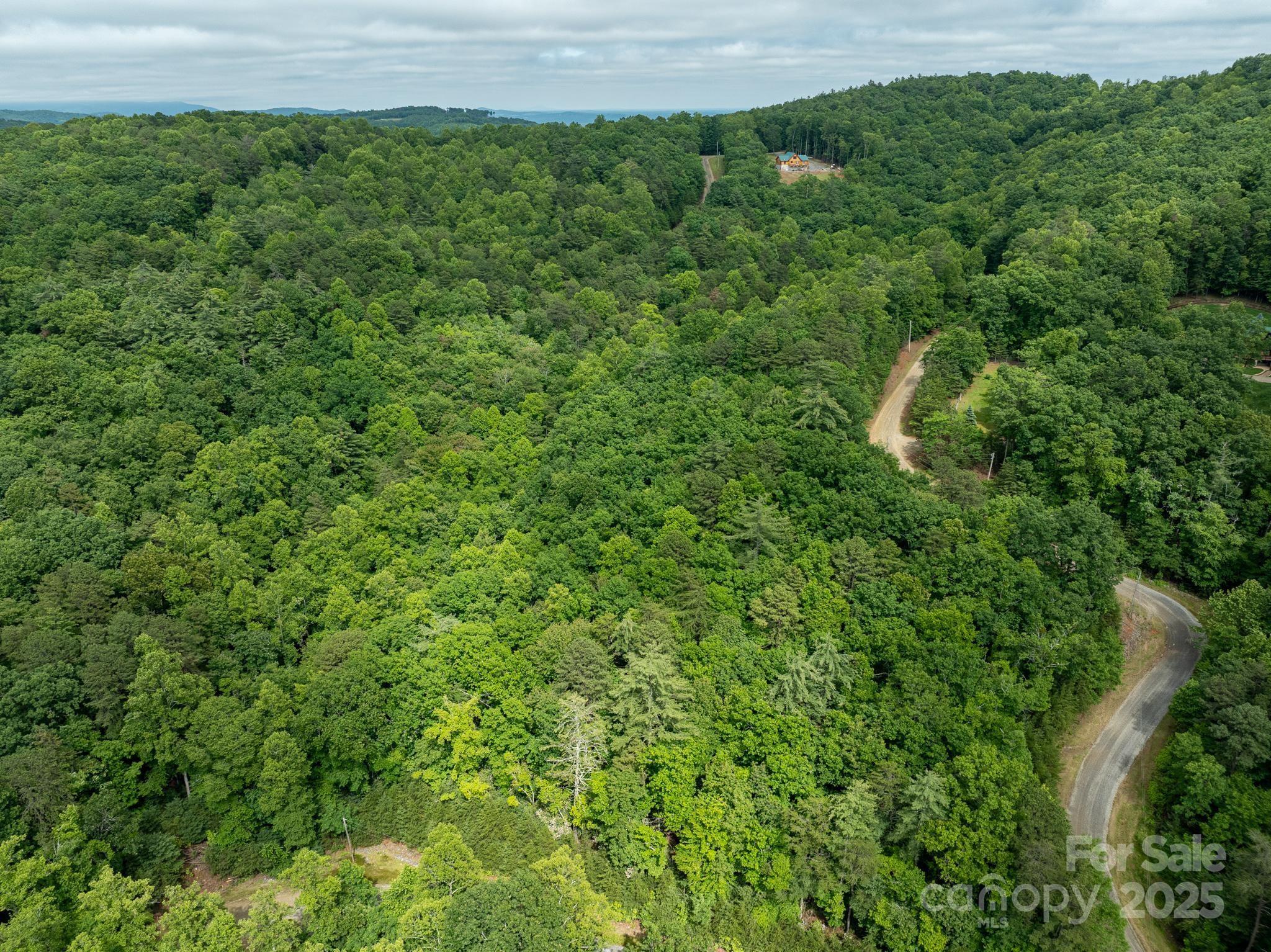 0 Wheel Team Trail, Unit 44 McGrady, NC 28649 - Photo 33 of 48 a view of a lush green forest