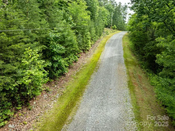 a view of a pathway both side of yard