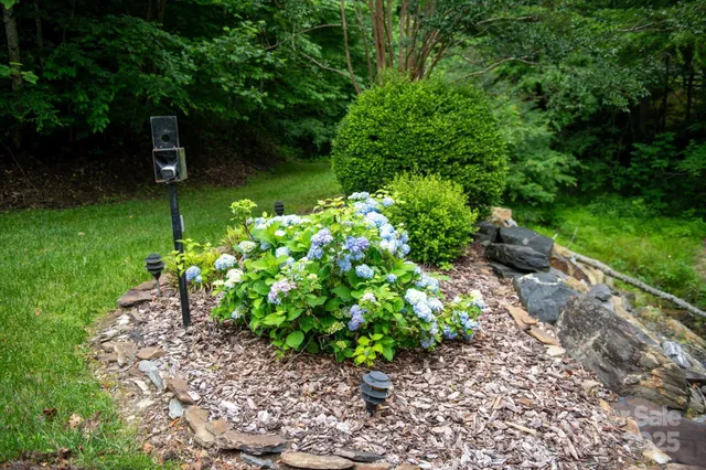 a view of a backyard with trampoline