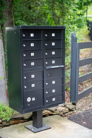 a backyard of a house with a garden and plants
