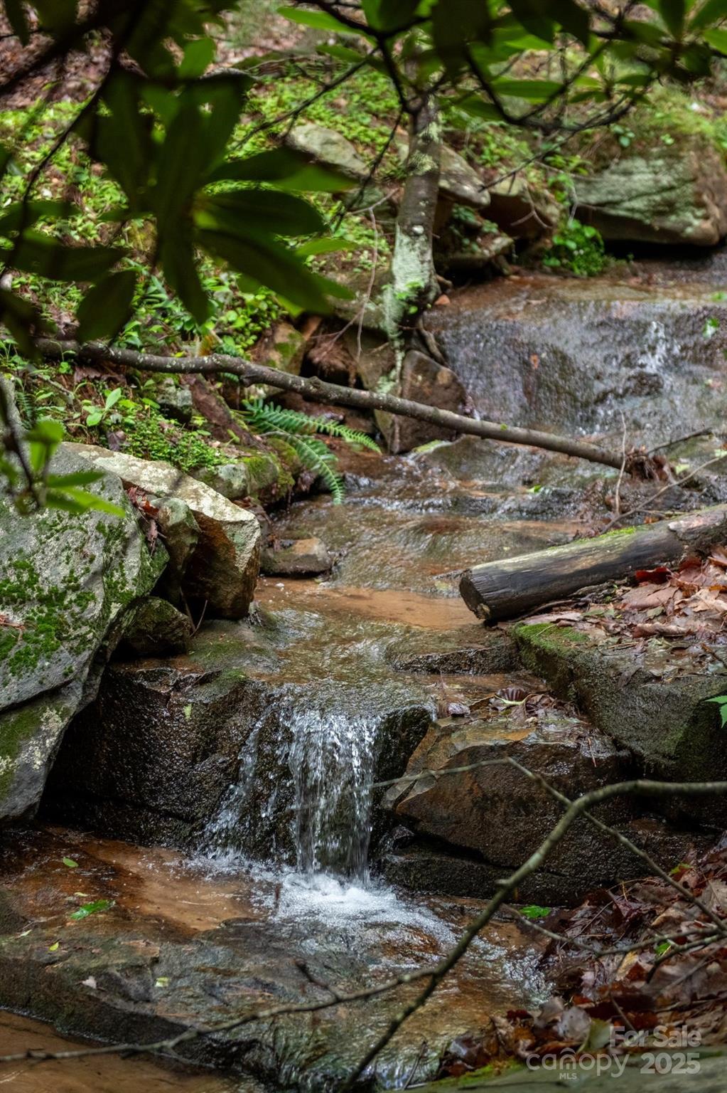 0 Wheel Team Trail, Unit 44 McGrady, NC 28649 - Photo 4 of 48 a view of a tree with a yard