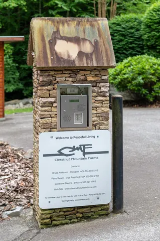 a view of a yard with plants