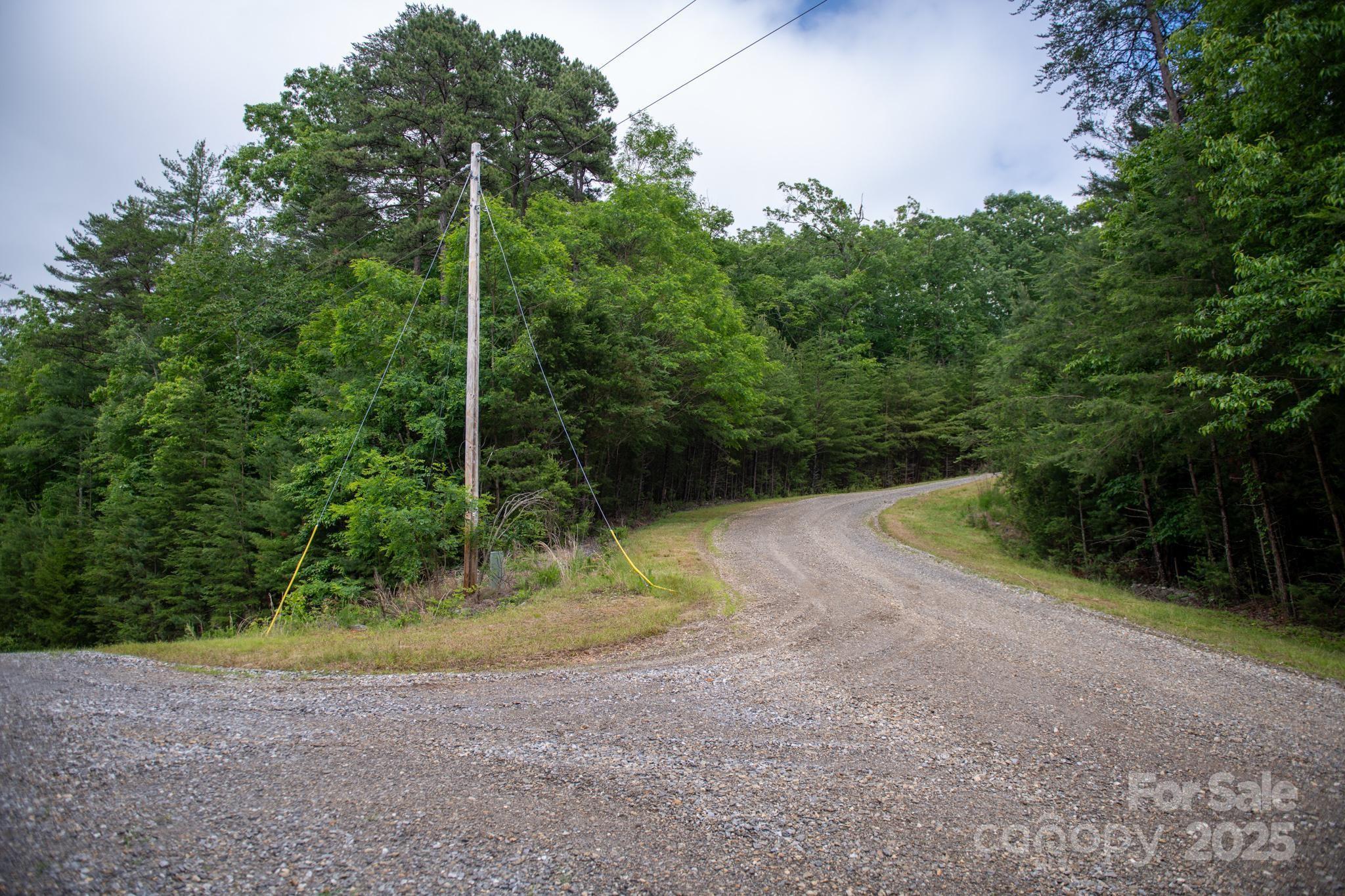 0 Wheel Team Trail, Unit 44 McGrady, NC 28649 - Photo 44 of 48 a view of a yard with plants