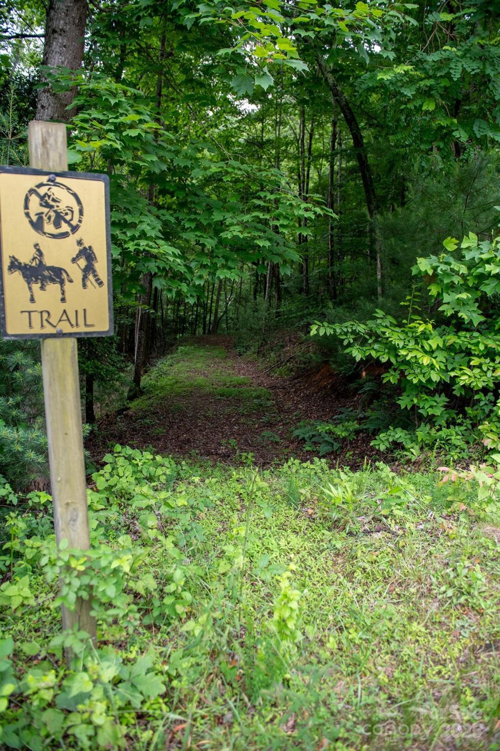 0 Wheel Team Trail, Unit 44 McGrady, NC 28649 - Photo 48 of 48 a sign that is sitting in the middle of a forest