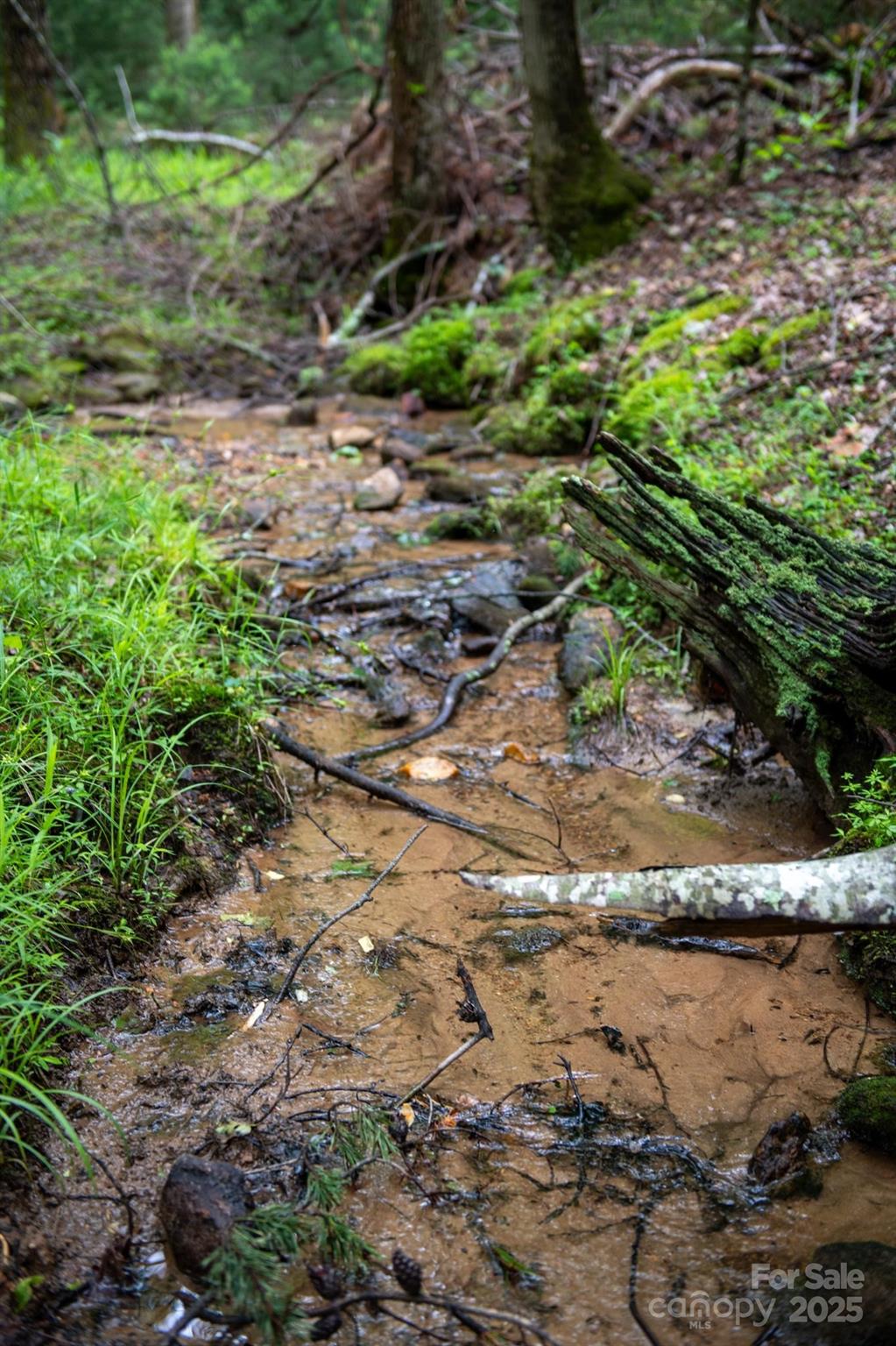 0 Wheel Team Trail, Unit 44 McGrady, NC 28649 - Photo 5 of 48 a view of a lake with lots of trees