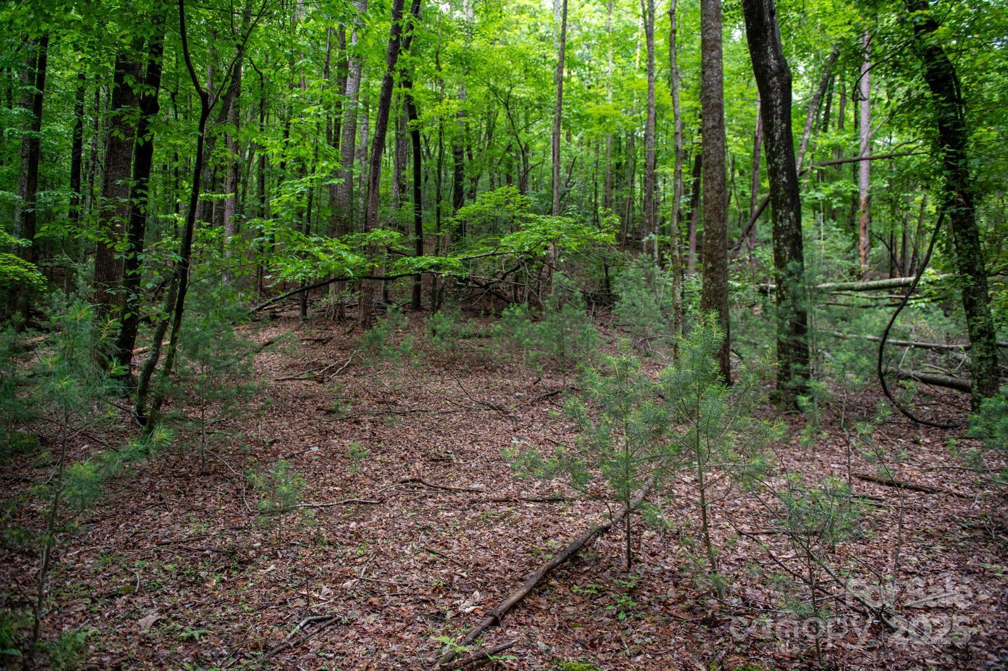0 Wheel Team Trail, Unit 44 McGrady, NC 28649 - Photo 6 of 48 a view of outdoor space and green space