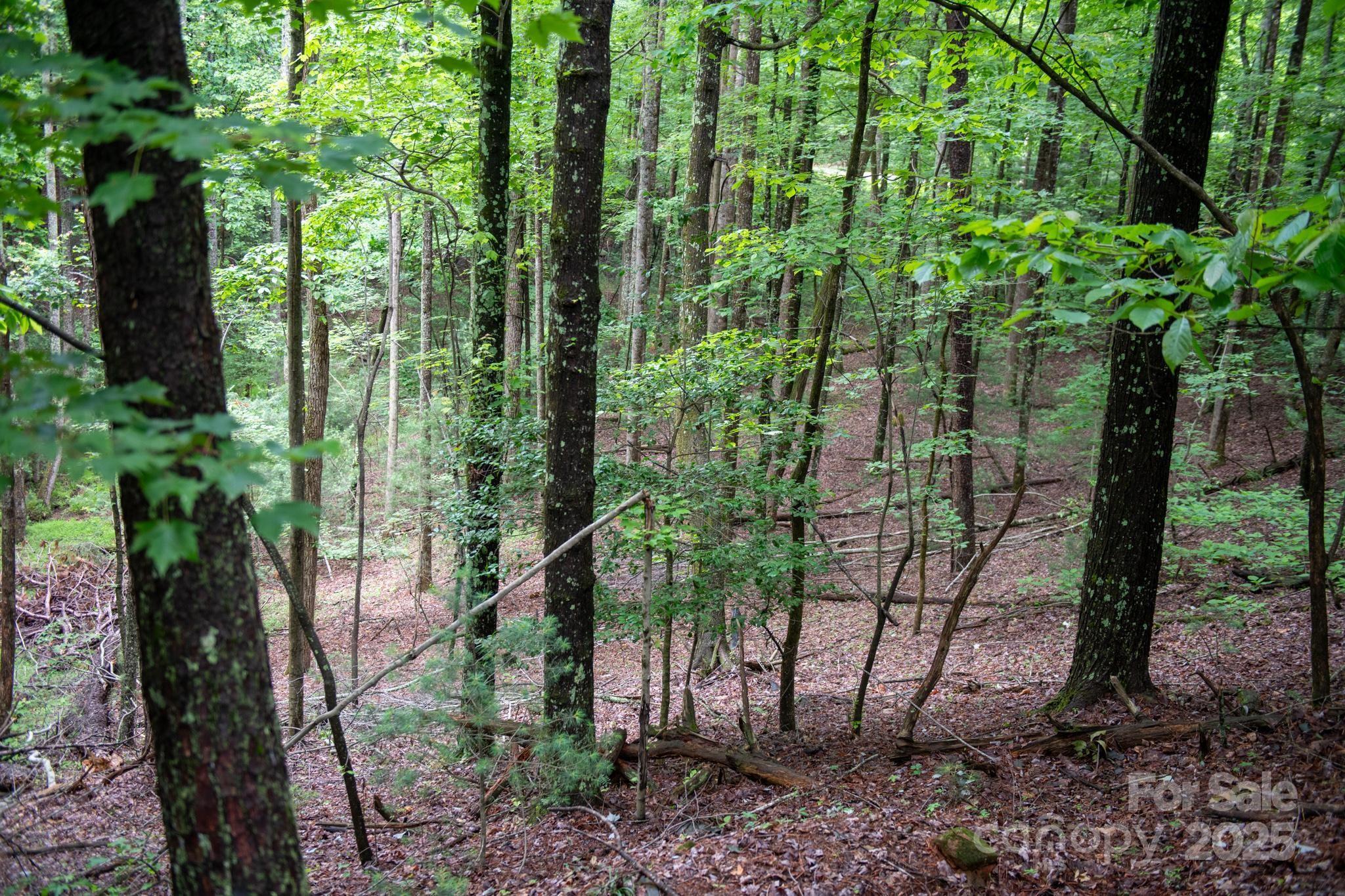 0 Wheel Team Trail, Unit 44 McGrady, NC 28649 - Photo 7 of 48 a view of outdoor space and garden