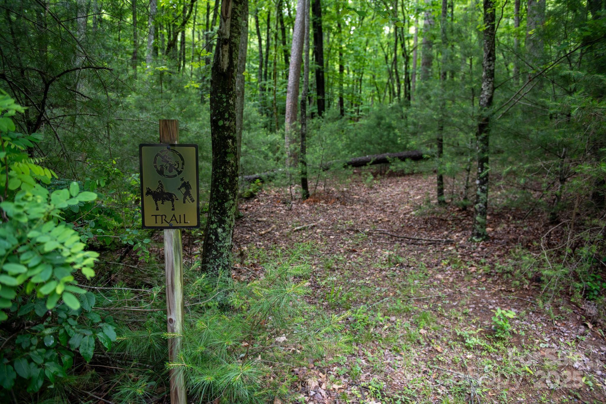 0 Wheel Team Trail, Unit 44 McGrady, NC 28649 - Photo 9 of 48 a view of a forest that has large trees