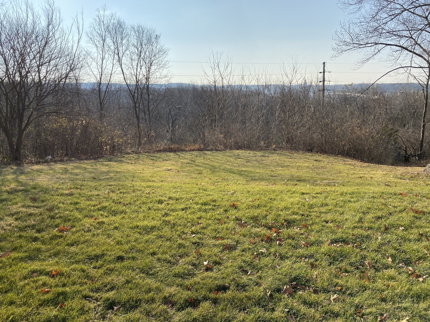 227 East Caroline Street Spring Valley, IL 61362 - Photo 3 of 16