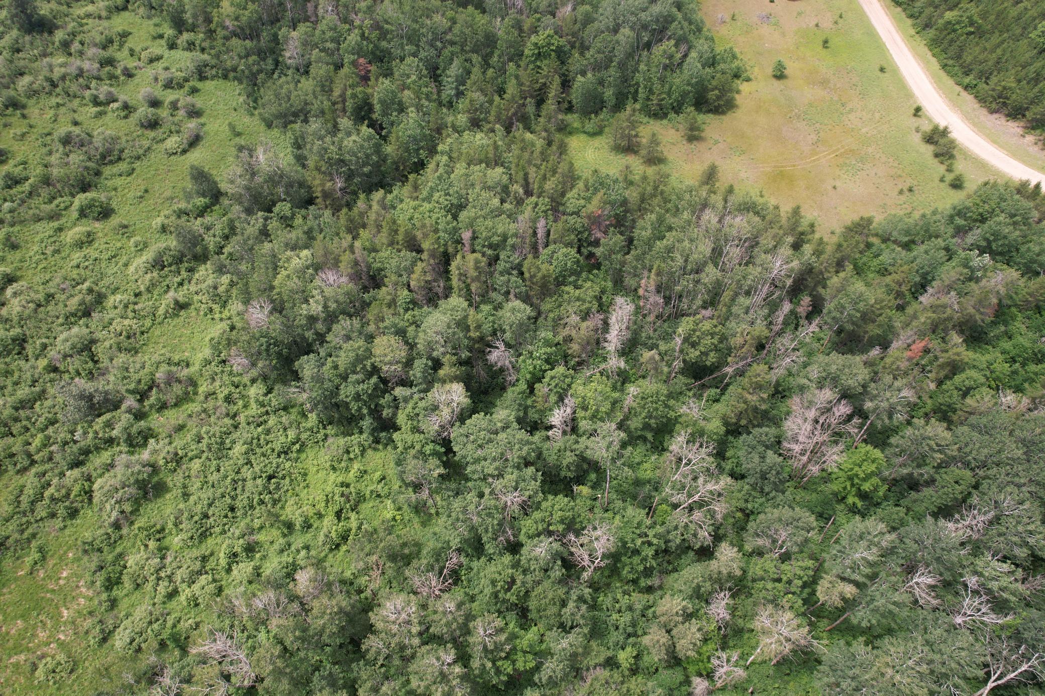 Tbd 350th Street Sebeka, MN 56477 - Photo 30 of 100