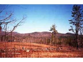 0 Spring Tavern Road Ossipee, NH 03864 - Photo 1 of 3