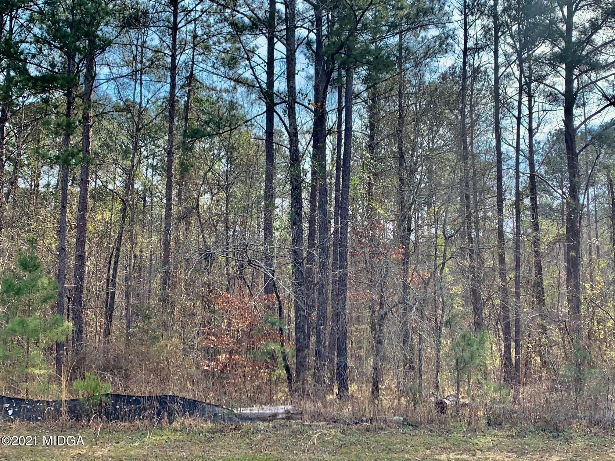 0 Dent Road Knoxville, GA 31050 - Photo 1 of 4 IMG_9855