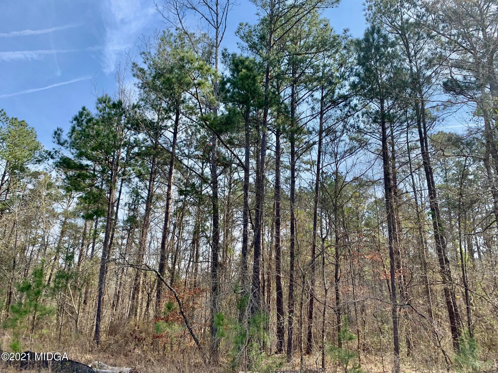 0 Dent Road Knoxville, GA 31050 - Photo 2 of 4 IMG_9857