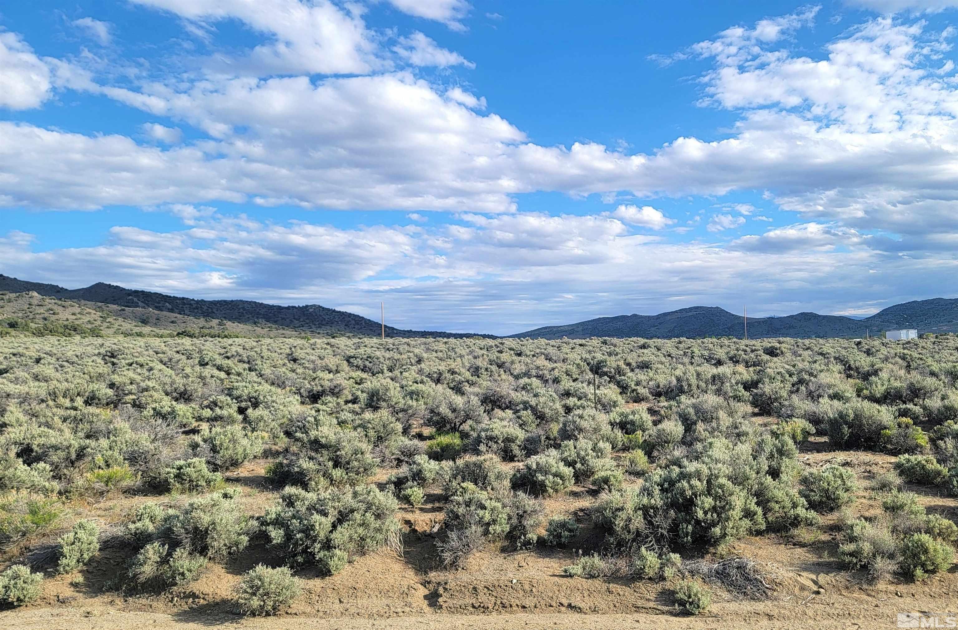 1450 Bronze Hill Road Reno, NV 89506 - Photo 2 of 9 a view of a city