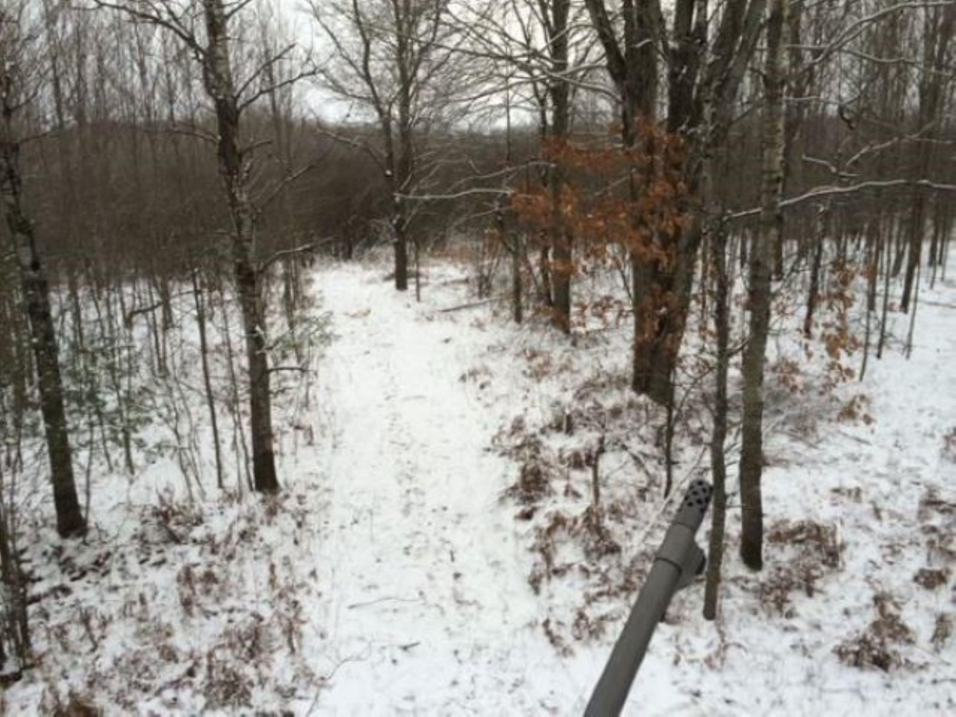 0 North Bowman Road Merritt, MI 49667 - Photo 13 of 24