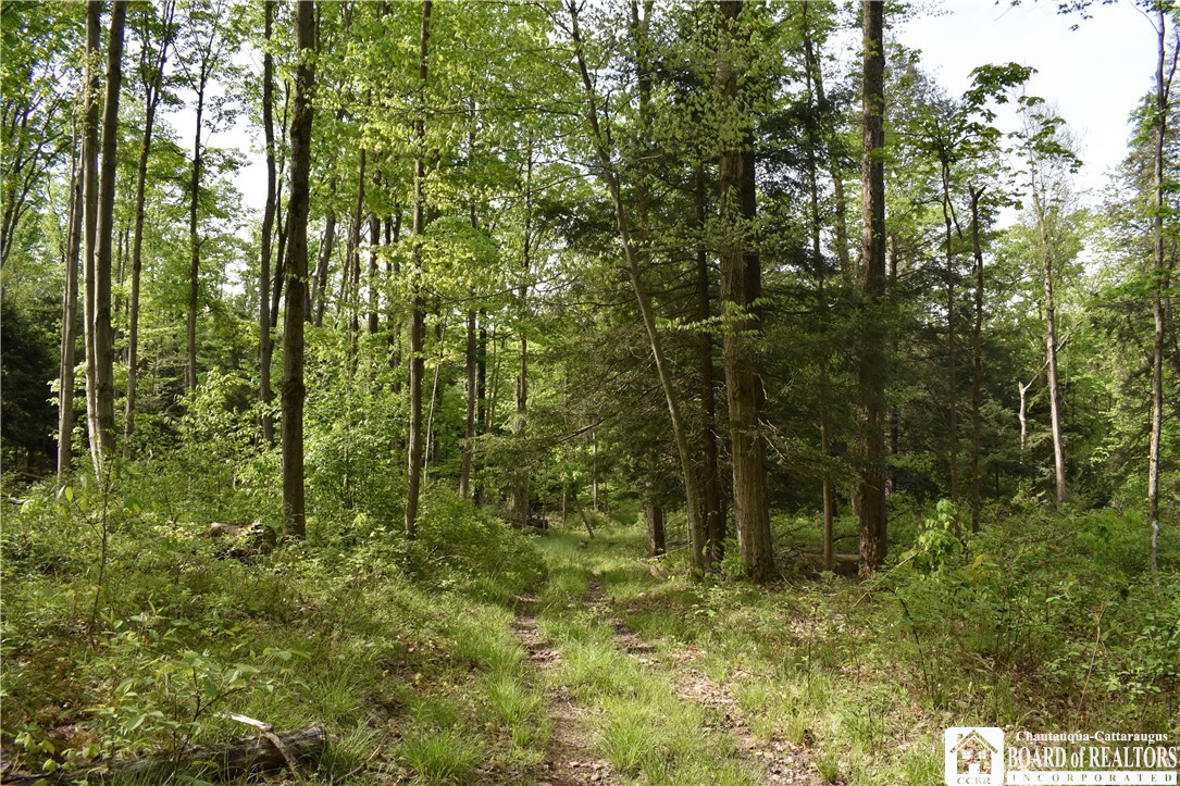 10133 Edward Corners Road Perrysburg, NY 14129 - Photo 14 of 28