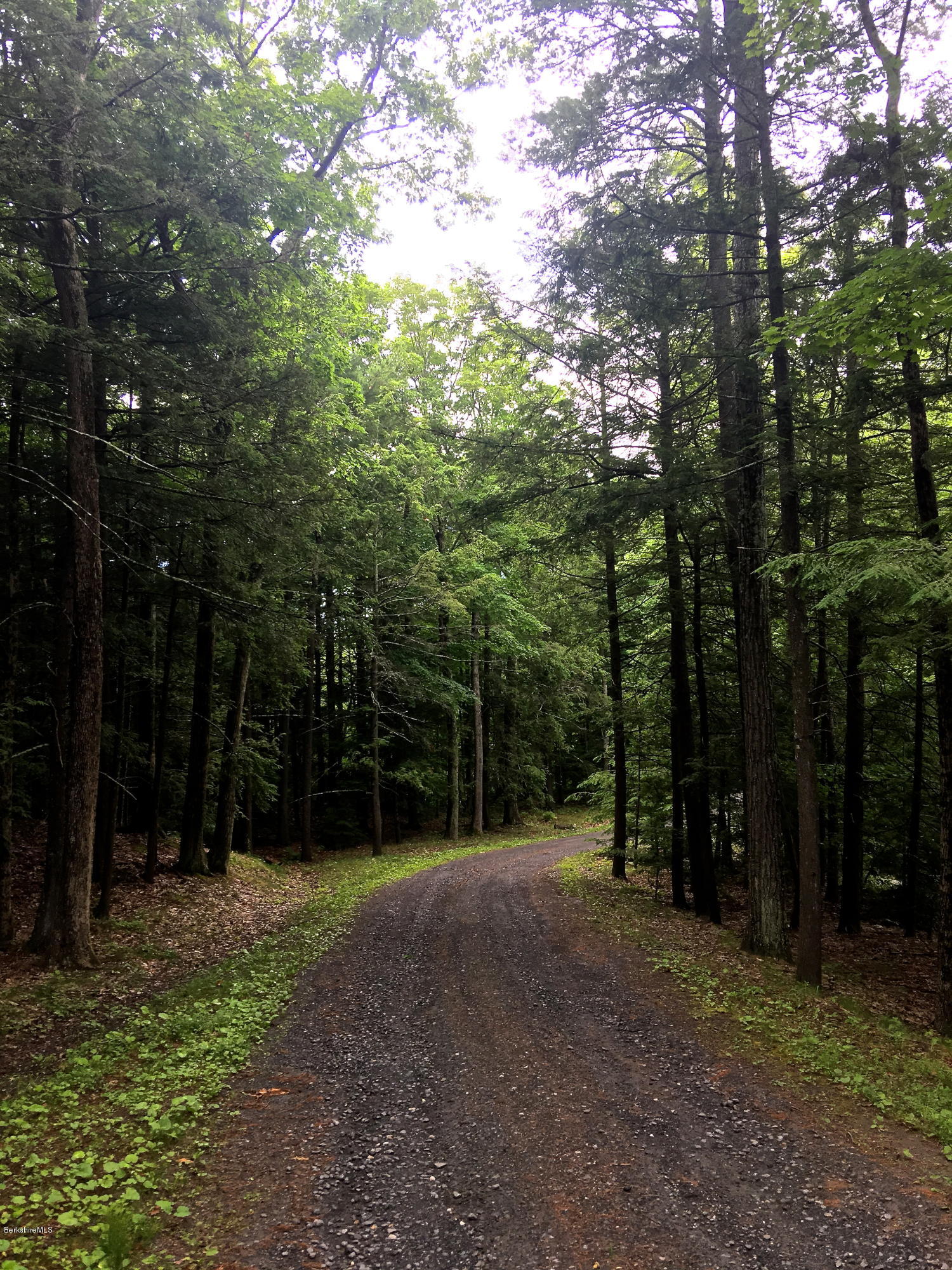 Lot 4 Long Pond Road Housatonic, MA 01236 - Photo 4 of 9 IMG_4966