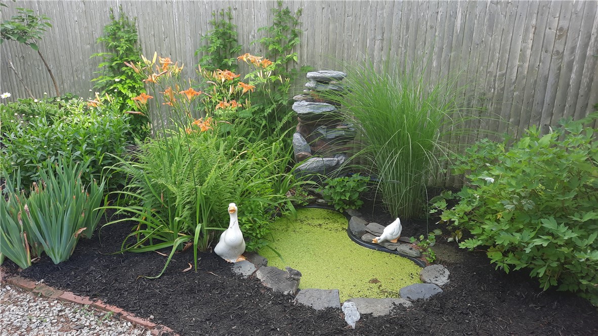 27 Circle Drive Coventry, RI 02816 - Photo 18 of 26 KOI POND