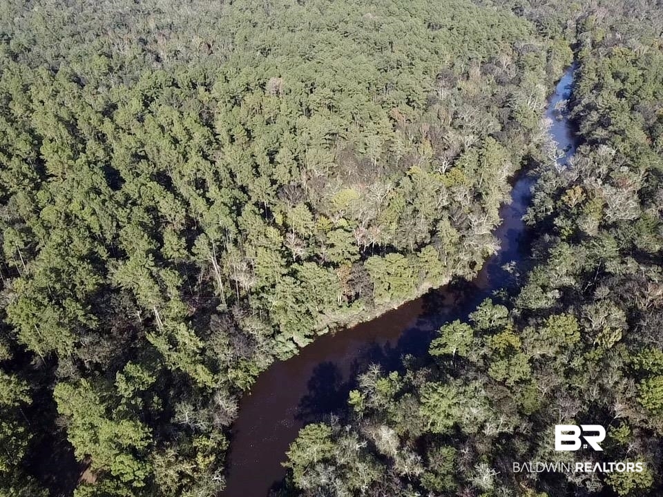 0 Country Road Vinegar Bend, AL 36584 - Photo 33 of 46