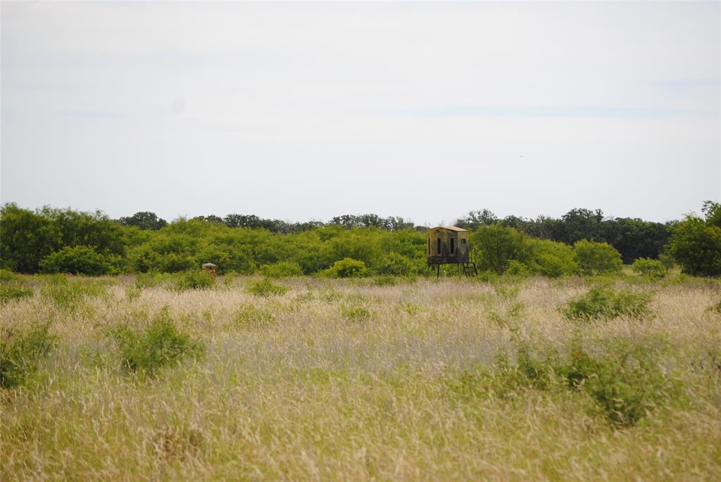 127 Rising Star Tx 76857 May, TX 76857 - Photo 12 of 17