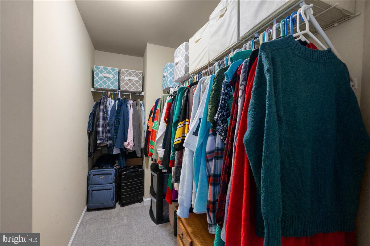 218 Centennial Drive Stephenson, VA 22656 - Photo 21 of 55 Walk-in closet