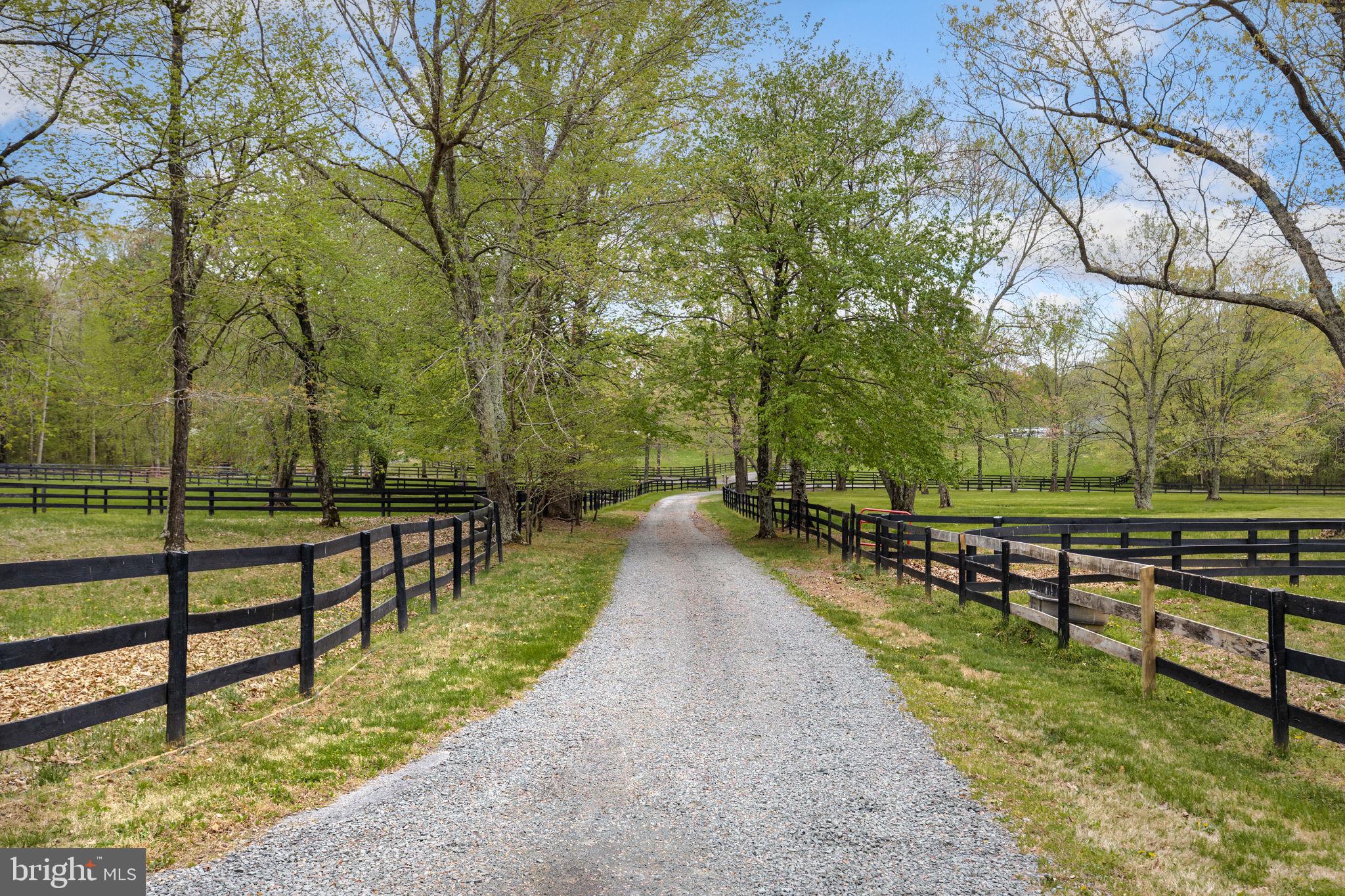 11612 Putnams Mill Road Hume, VA 22639 - Photo 10 of 49 Spectacular Drive