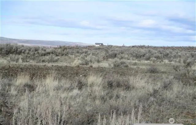 a view of a bunch of trees in a field