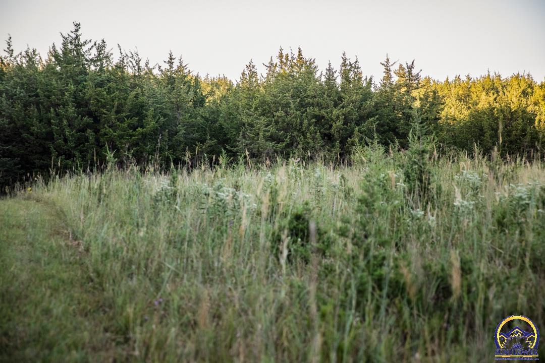 0 Baldwin Park Road Riley, KS 66531 - Photo 72 of 99 Gallery Image 72