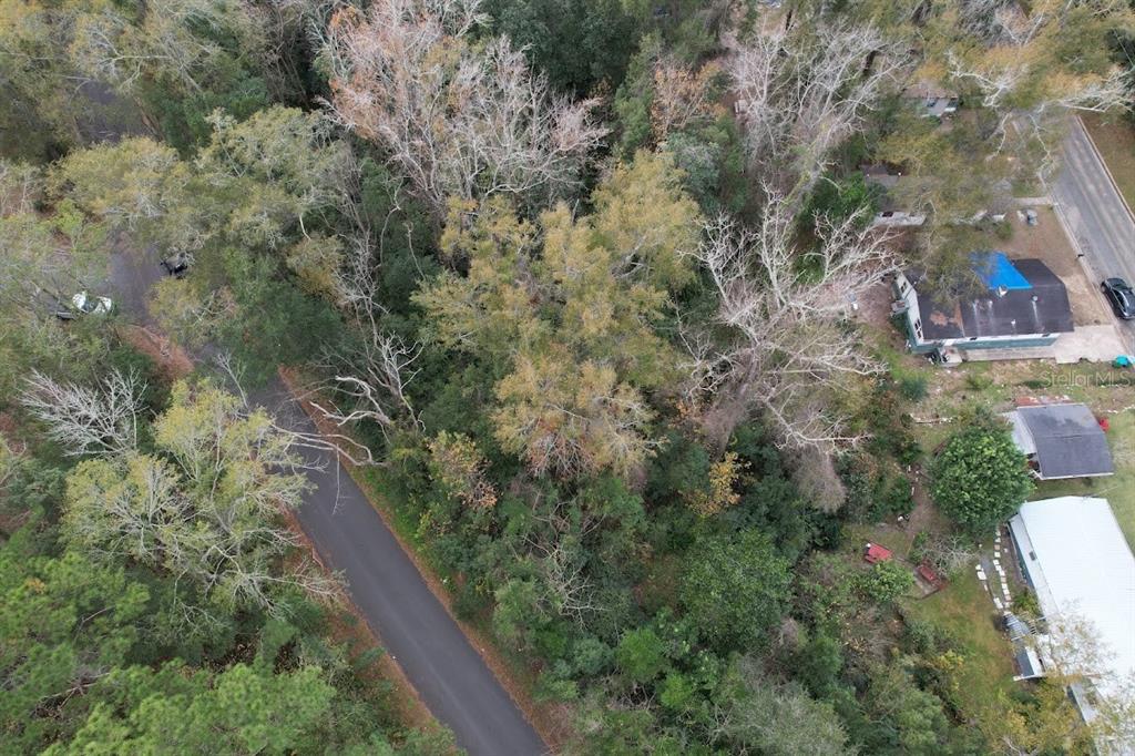 3 Station Street Quincy, FL 32351 - Photo 4 of 9 a view of a yard