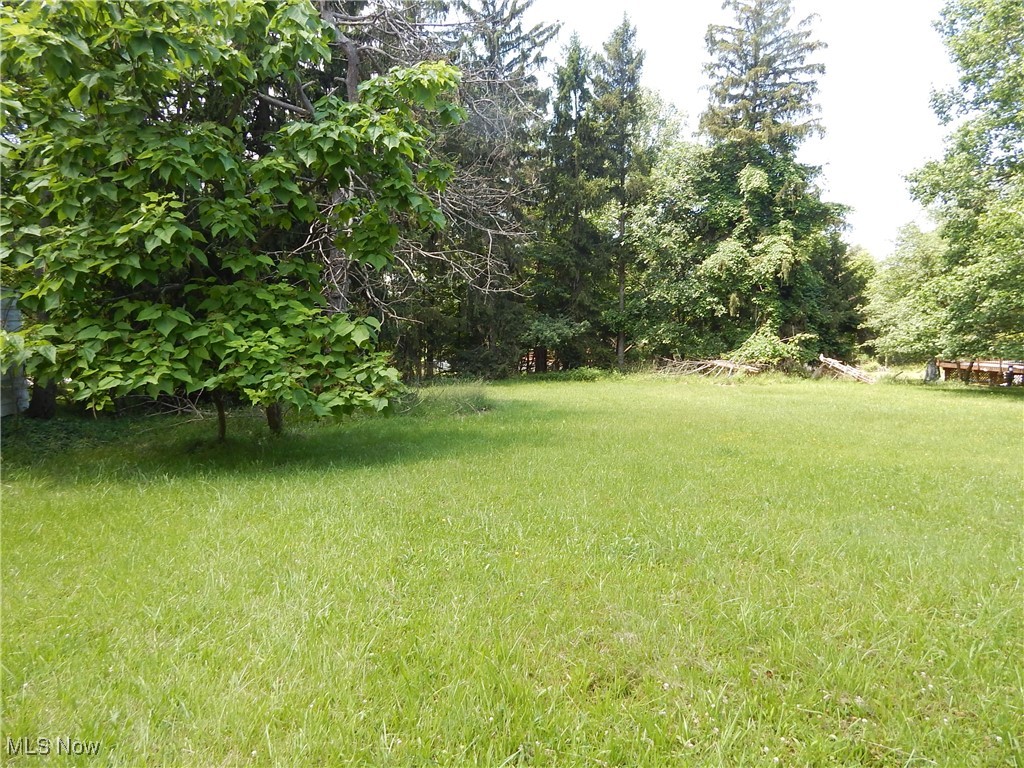 6990 Broadview Road Cleveland, OH 44134 - Photo 36 of 36 View of yard 95 x 410 wonderfully wooded and private, waiting for summer fun!
