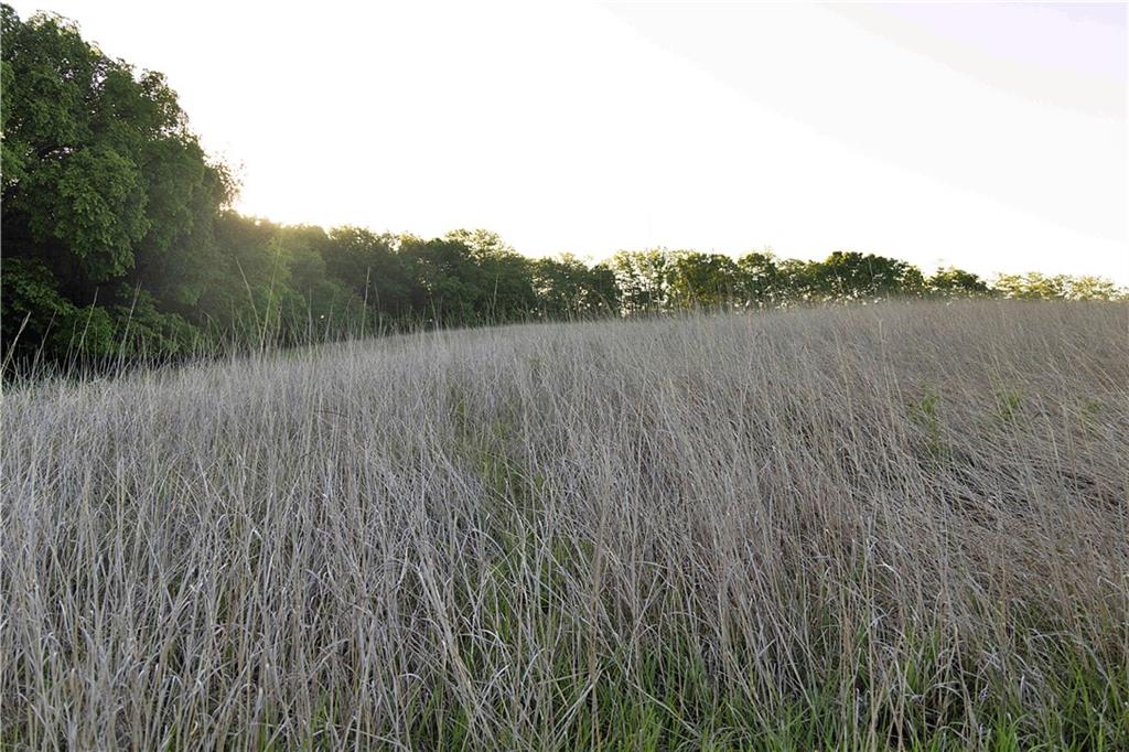 Offutt Road Maysville, MO 64469 - Photo 61 of 89