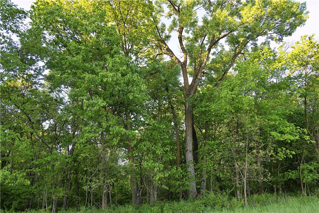 Offutt Road Maysville, MO 64469 - Photo 69 of 89