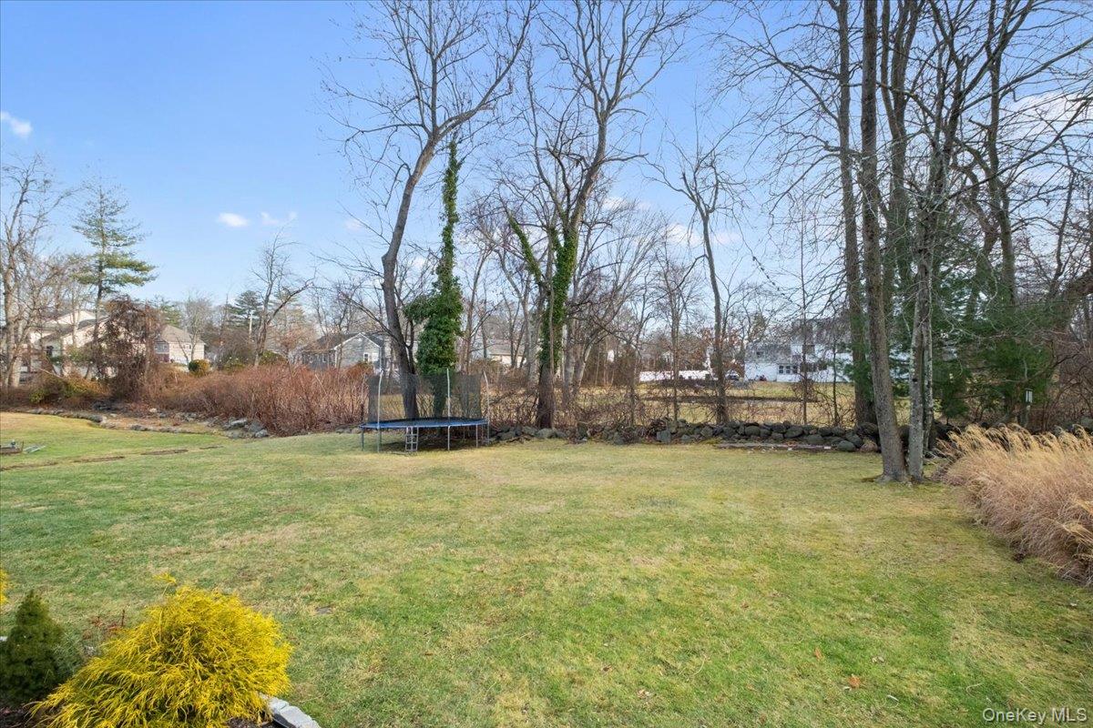 39 Darling Avenue New Rochelle, NY 10804 - Photo 17 of 19 a fire hydrant in the middle of a field