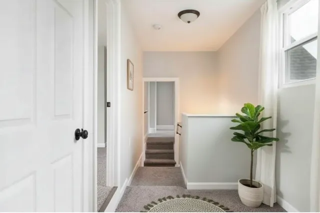 a view of a hallway with wooden floor and a potted plant