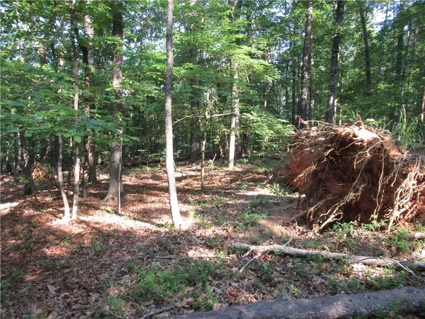 $70,000 | 0 Murphy Road, Sunset, SC 29685