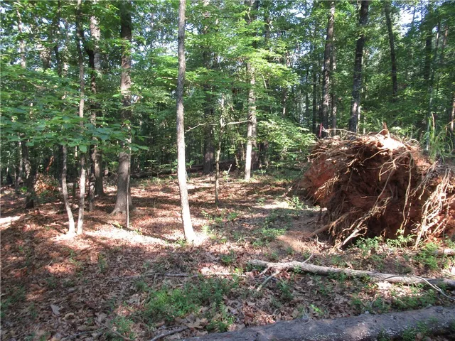 $70,000 | 0 Murphy Road, Sunset, SC 29685