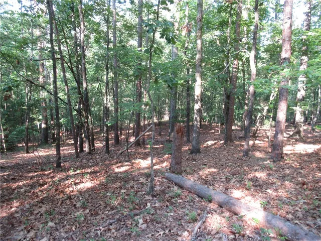 $70,000 | 0 Murphy Road, Sunset, SC 29685