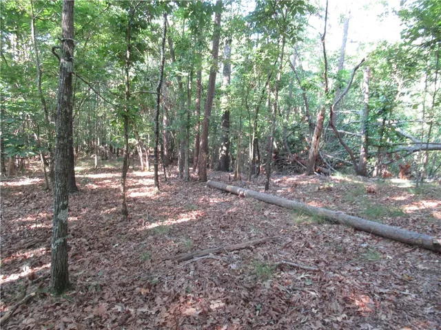 $70,000 | 0 Murphy Road, Sunset, SC 29685