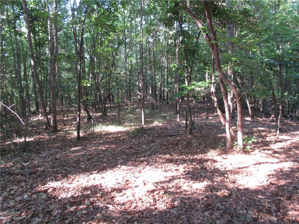 0 Murphy Road Sunset, SC 29685 - Photo 14 of 20