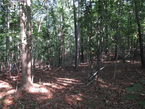 $70,000 | 0 Murphy Road, Sunset, SC 29685