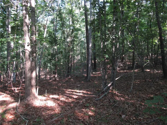 $70,000 | 0 Murphy Road, Sunset, SC 29685