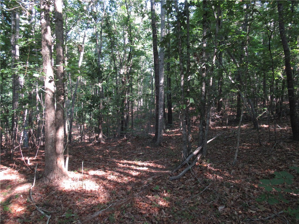 0 Murphy Road Sunset, SC 29685 - Photo 16 of 20