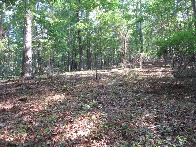 $70,000 | 0 Murphy Road, Sunset, SC 29685