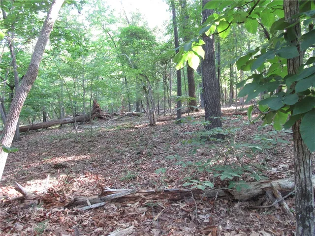 $70,000 | 0 Murphy Road, Sunset, SC 29685