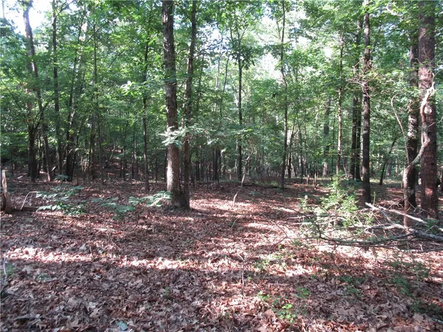 $70,000 | 0 Murphy Road, Sunset, SC 29685