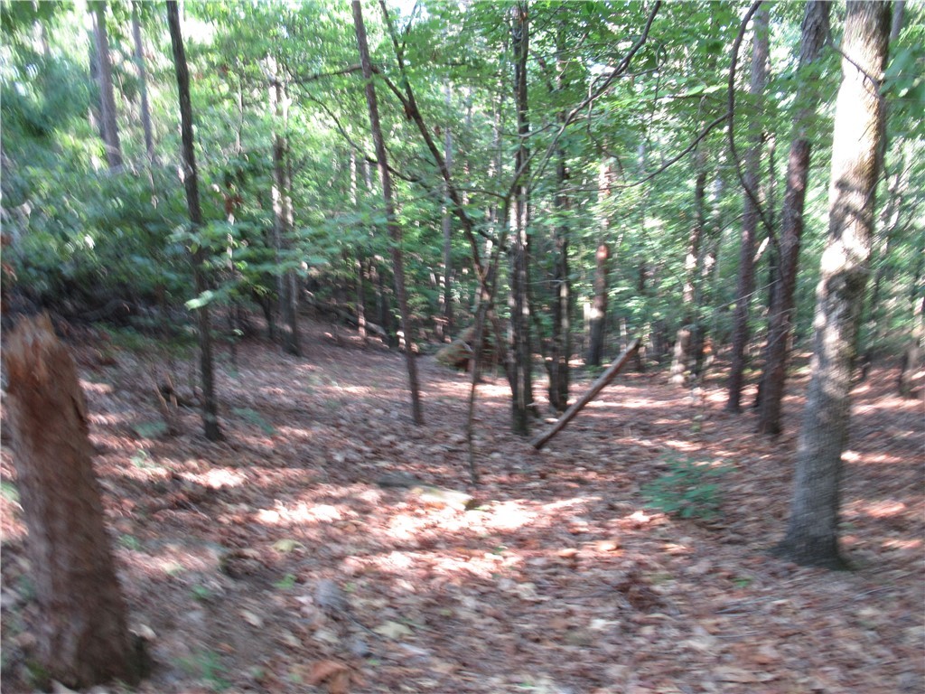 0 Murphy Road Sunset, SC 29685 - Photo 10 of 20